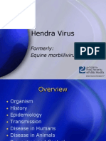 Hendra Virus: Formerly: Equine Morbillivirus