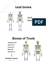 Bones