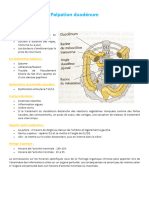 Palpation Duodénum