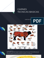 Copia de CARNES TECNICAS BASICAS