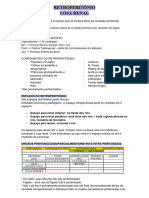 Retroperitônio e Loja Renal