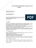 A Distribuição Das Responsabilidades Na Implantação de Erp