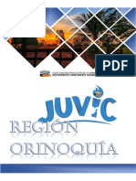 Juvic Orinoquia - Doc - Base.