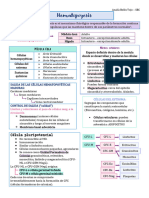 1 - Hematopoyesis