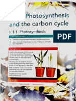 Unit 1.1 Photosynthesis