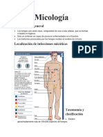 Repaso Examen de Mico