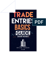 Trade Entries Basics Guide New PDF