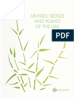 The Grasses Sedges and Rushes of The UAE Book