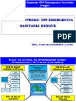 D.S. 009 Dengue