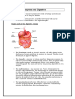 1.2 Enzymes and The Digestive System