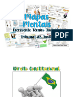 Amostra Mapas Mentais TJ-SP