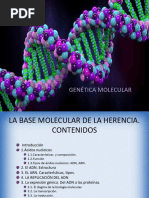 Genética Molecular