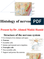 Histology of Nervous System