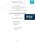 PROYECTO PRACTICA PROFESIONALISANTE L PDF