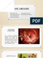 Ascariasis, Grupo 8