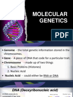 Protein Synthesis 