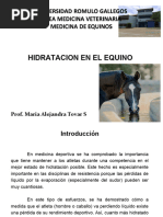 Clase 4 HIDRATACION EN EL EQUINO 02-10-15