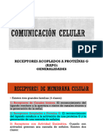 4 Comunicacion celular-RAPG