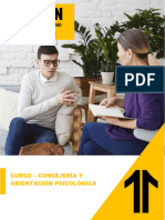 Curso - Consejería Y Orientación Psicológica