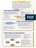 Central DOGMA of Molecular Biology