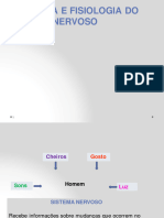 Apresent. Sistema Nervoso e Anatomia.