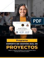 Silabus Gestión Ágil de Proyectos