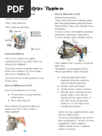 Resumo N. Trigêmeo