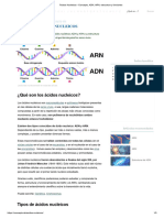 Ácidos Nucleicos - Concepto, ADN, ARN, Estructura y Funciones-Lectura 14