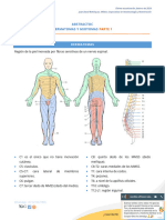 AbstracTOC. Dermatomas y Miotomas p1