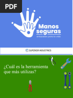 Presentacion Seguridad en Manos