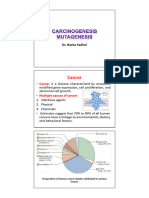 Carcinogenesis and Mutagenesis