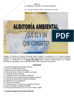 Tema Ix Auditoria Ambiental