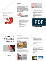 Triptico de Gastritis