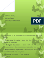 Food Chain Food Wed Ecological Pyramids