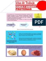 Las Proteínas