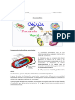 Tipos de Células: Nombre y Apellido - 6 B Ásico 16 05 24