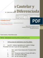 11.3. Tutela Cautelar y Diferenciada PPT Tema 11 - 3 DEMAS MEDIDAS CAUTELARES (0311067xD5325)