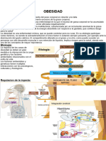 Resumen Obesidad
