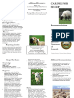 Sheep Care Trifold