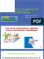 Focos de Las Intervenciones Objettivos Actores Intervinientes y Metodologias