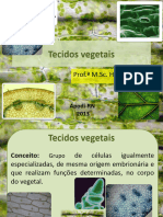 Tecidos Vegetais