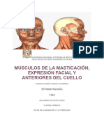 Músculos de La Masticación, Expresión Facial, Supra e Infrahioideos