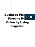 Business Plan For Farming Red Onion by Using Irrigation