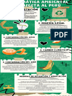 Infografía Cuidado Del Medio Ambiente Ilustrado Verde