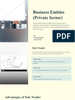 Business Entities (Private Sector)