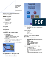 Nervous System