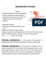 Respiratory System For Grade XII