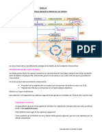 2º Parcial Bioquimica Metabolica