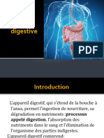 Anatomie Digestive