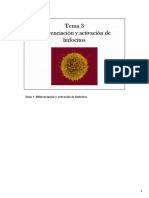 Tema 3 Diferenciación y Activación de Linfocitos